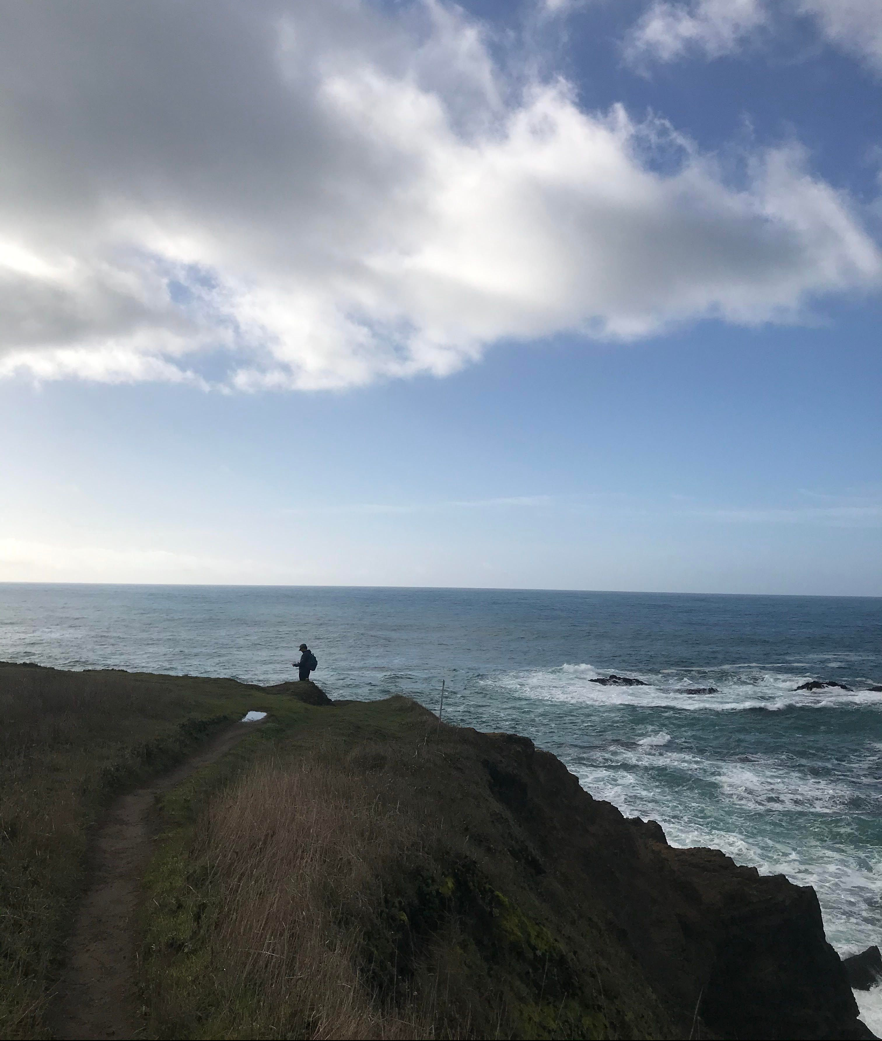 Mendocino beach